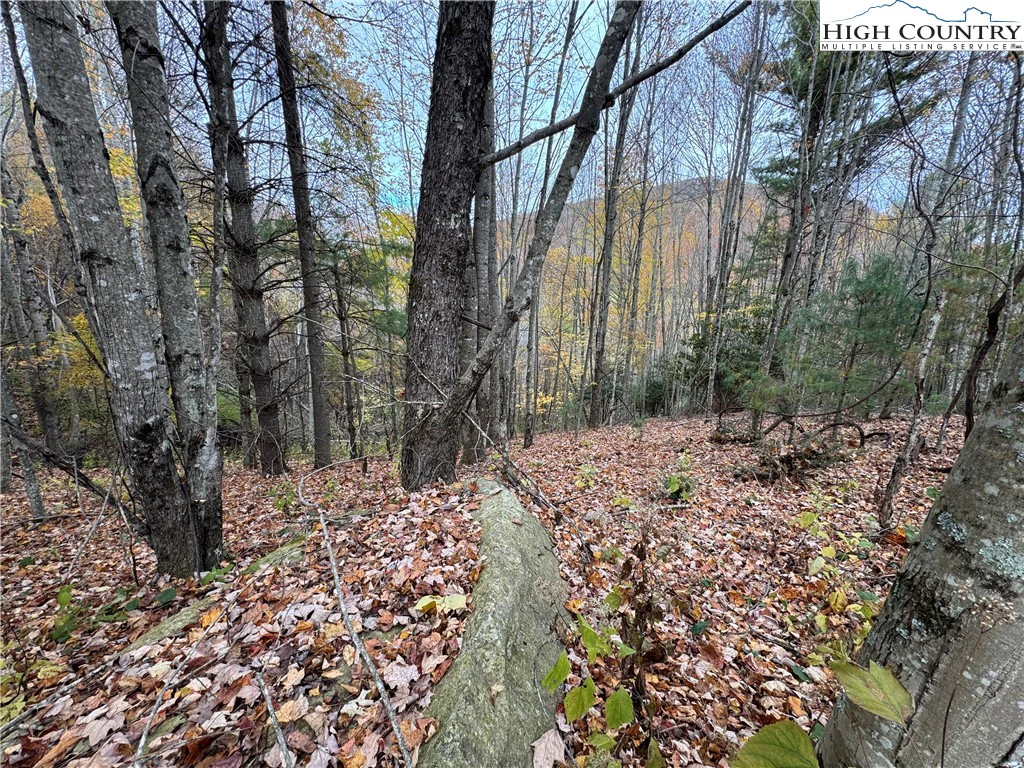 Image number 6 for the current listing