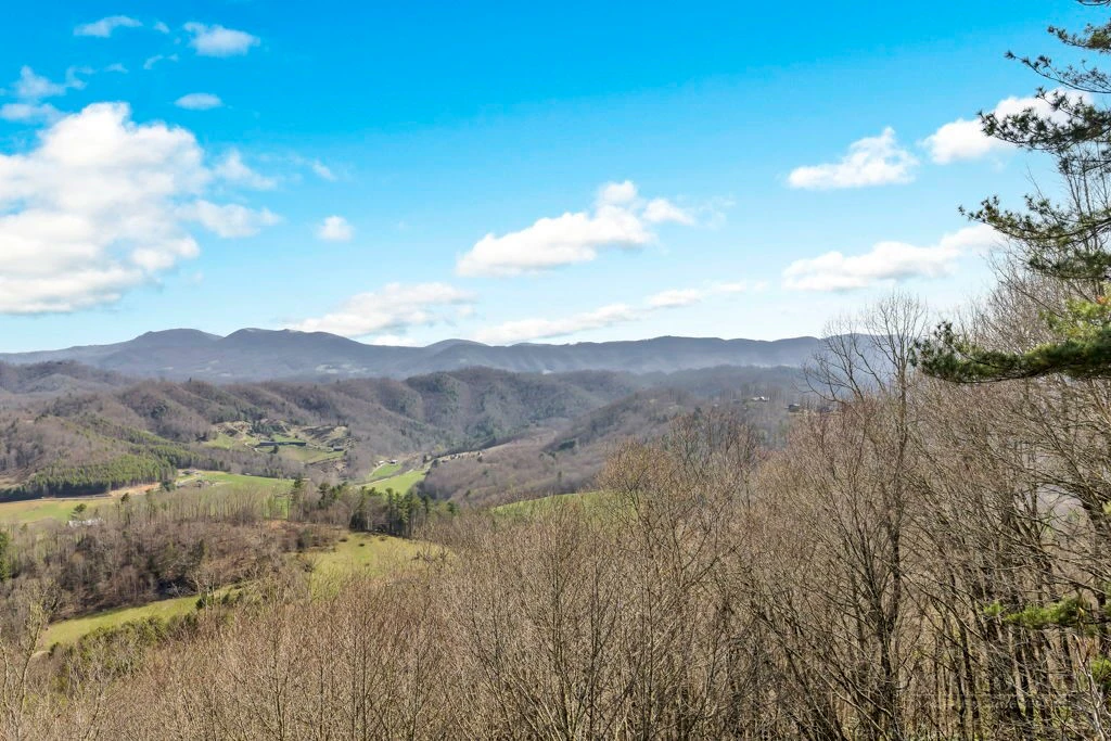 Image number 1 for the current listing