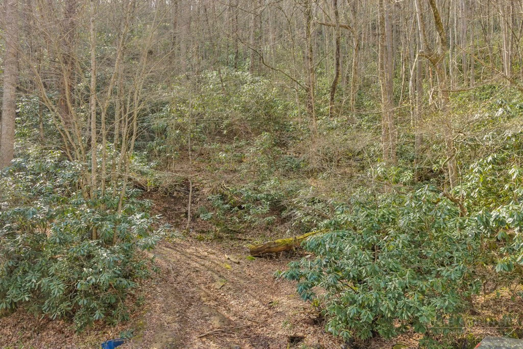 Image number 6 for the current listing
