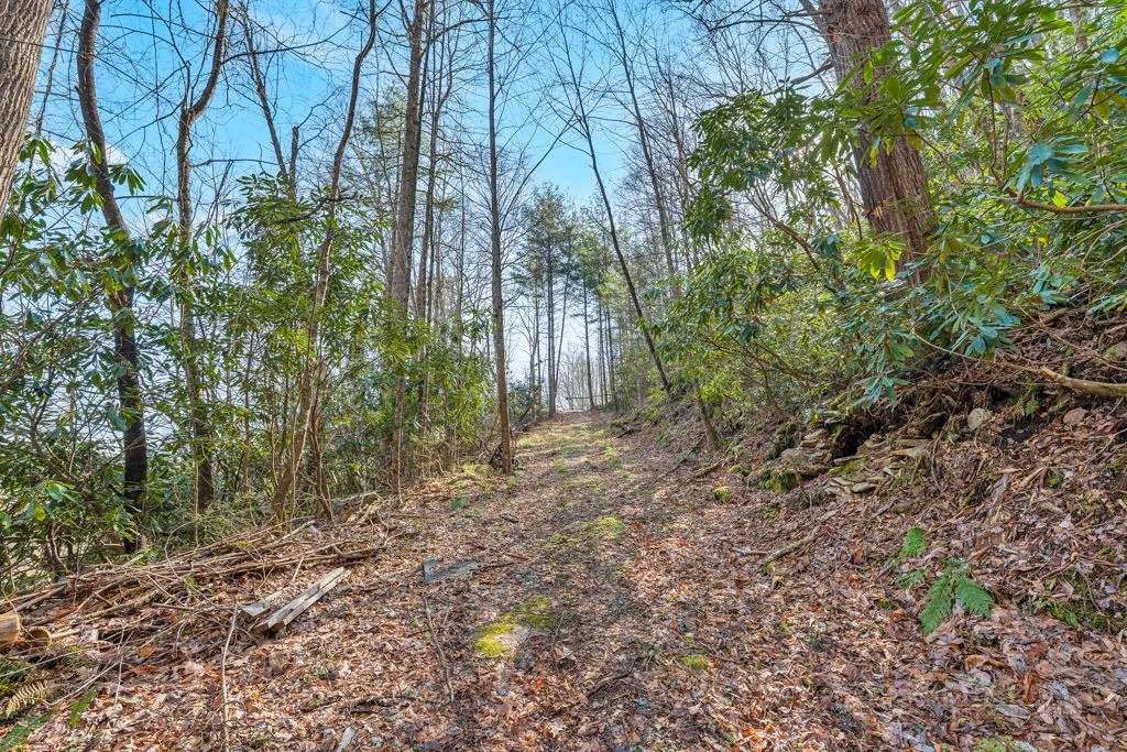 Image number 9 for the current listing