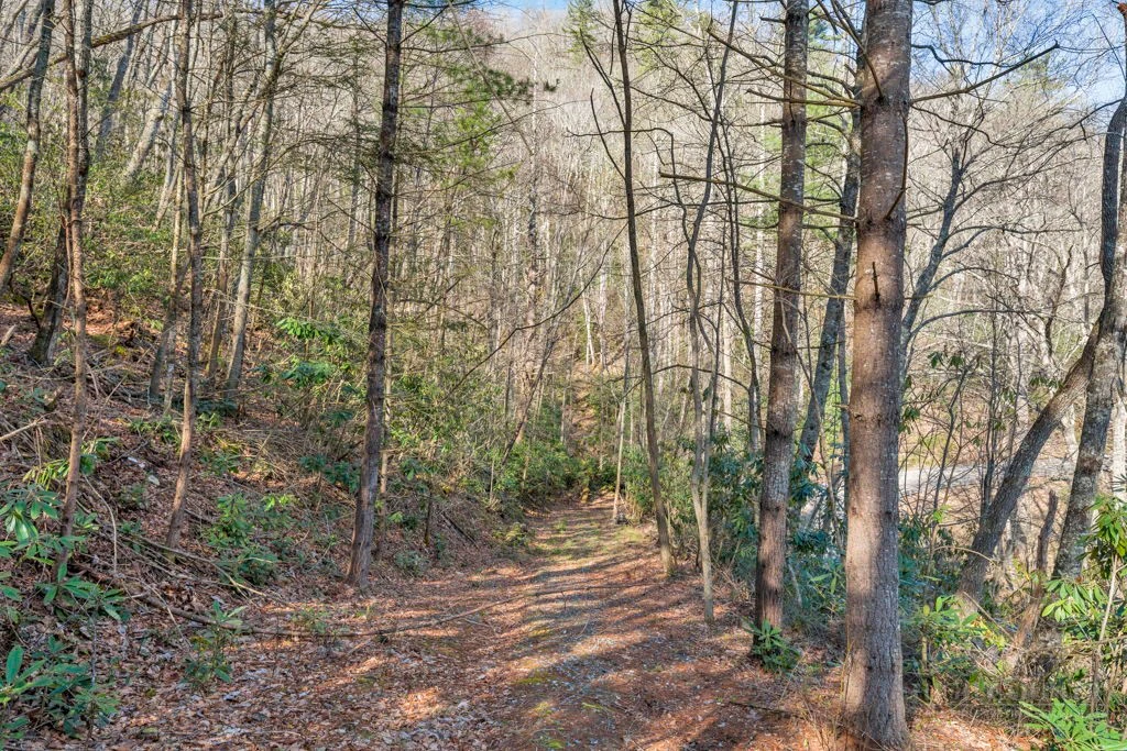 Image number 10 for the current listing
