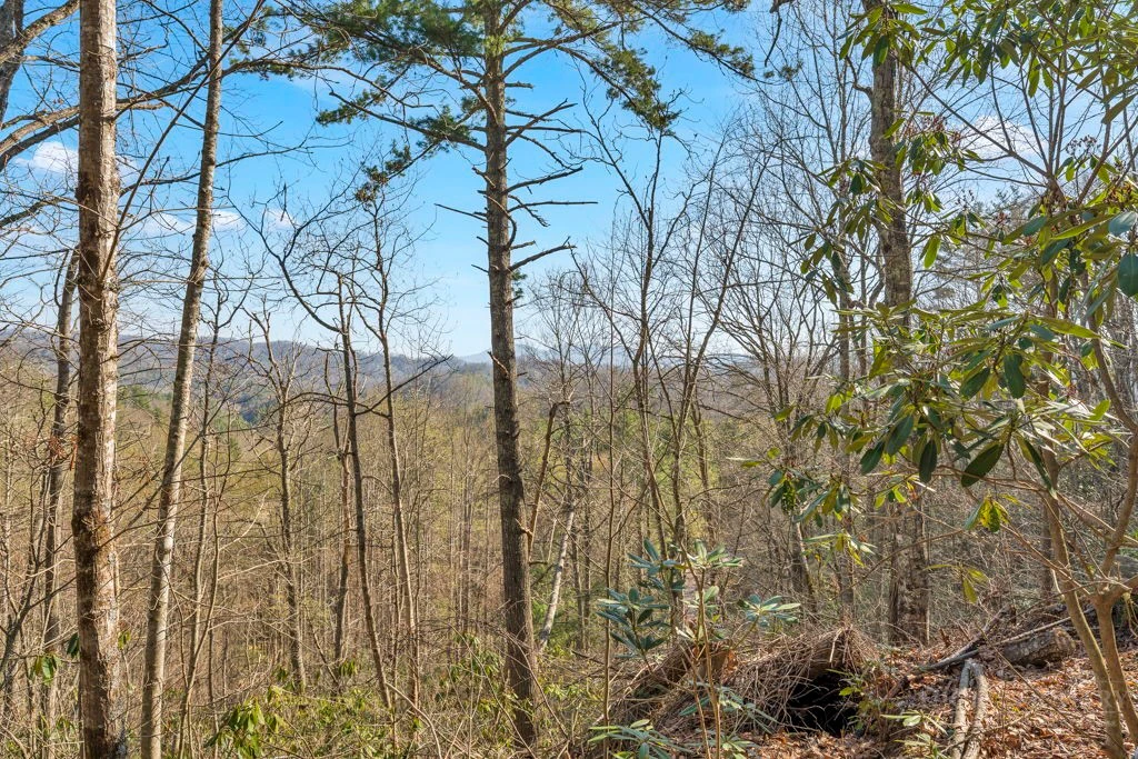 Image number 11 for the current listing