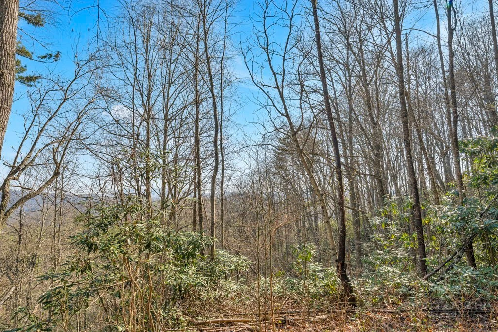 Image number 12 for the current listing