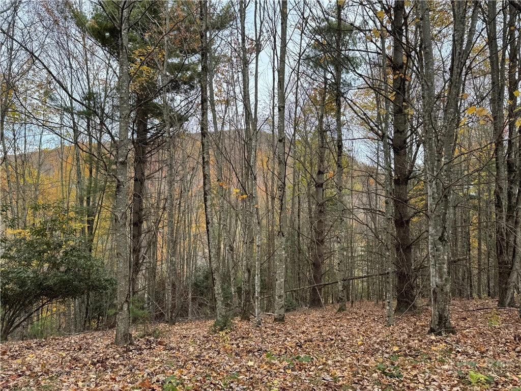 Image number 1 for the current listing