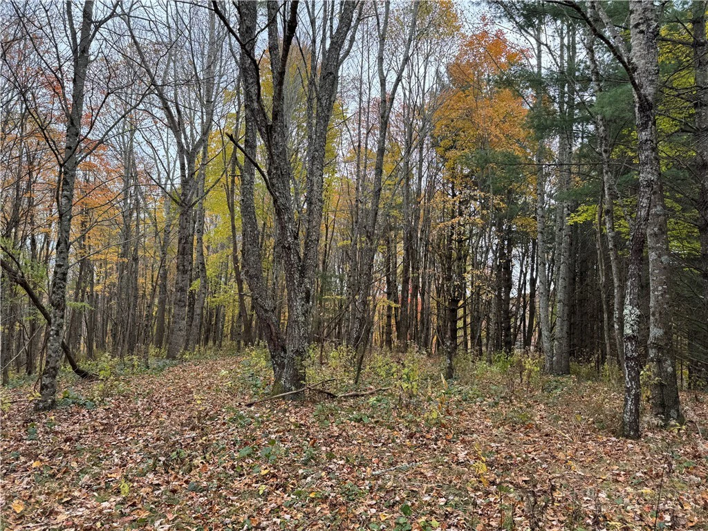 Image number 5 for the current listing