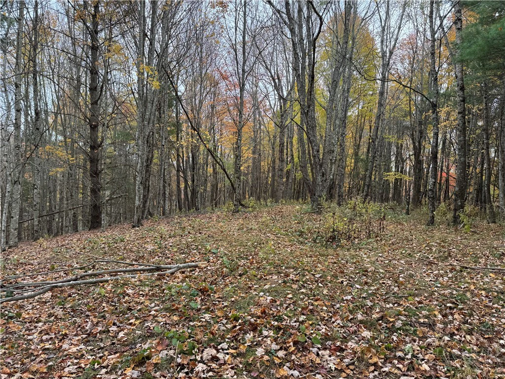 Image number 6 for the current listing