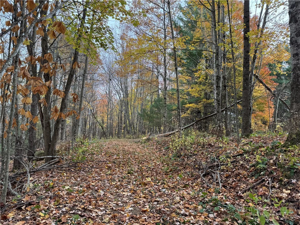 Image number 7 for the current listing