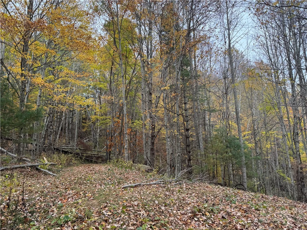 Image number 9 for the current listing