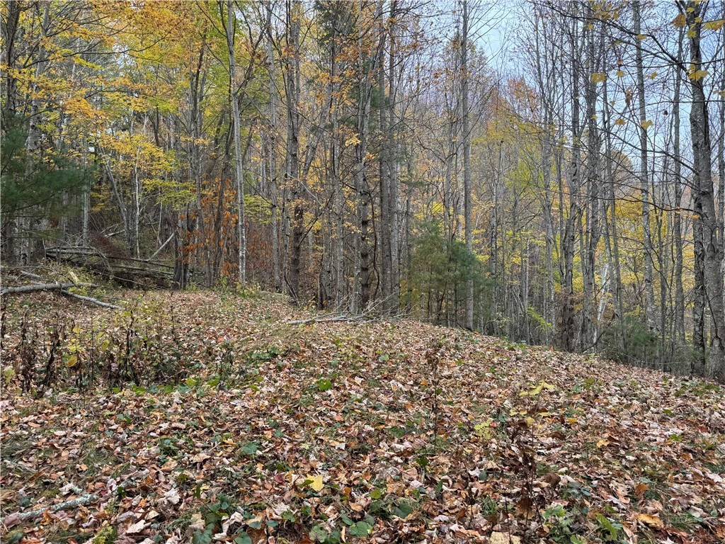 Image number 10 for the current listing