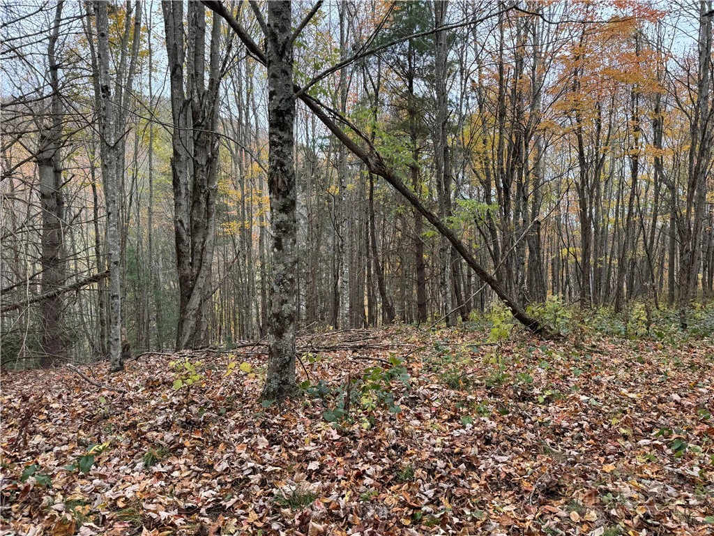Image number 11 for the current listing