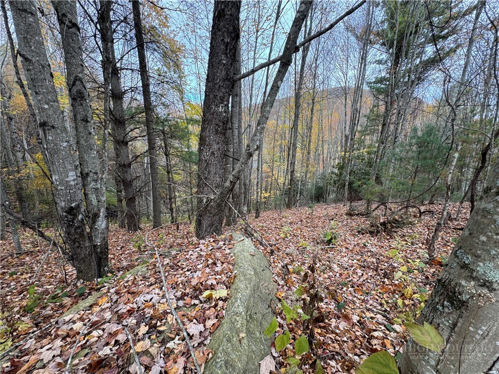 Image number 13 for the current listing