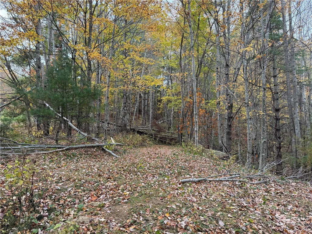 Image number 14 for the current listing