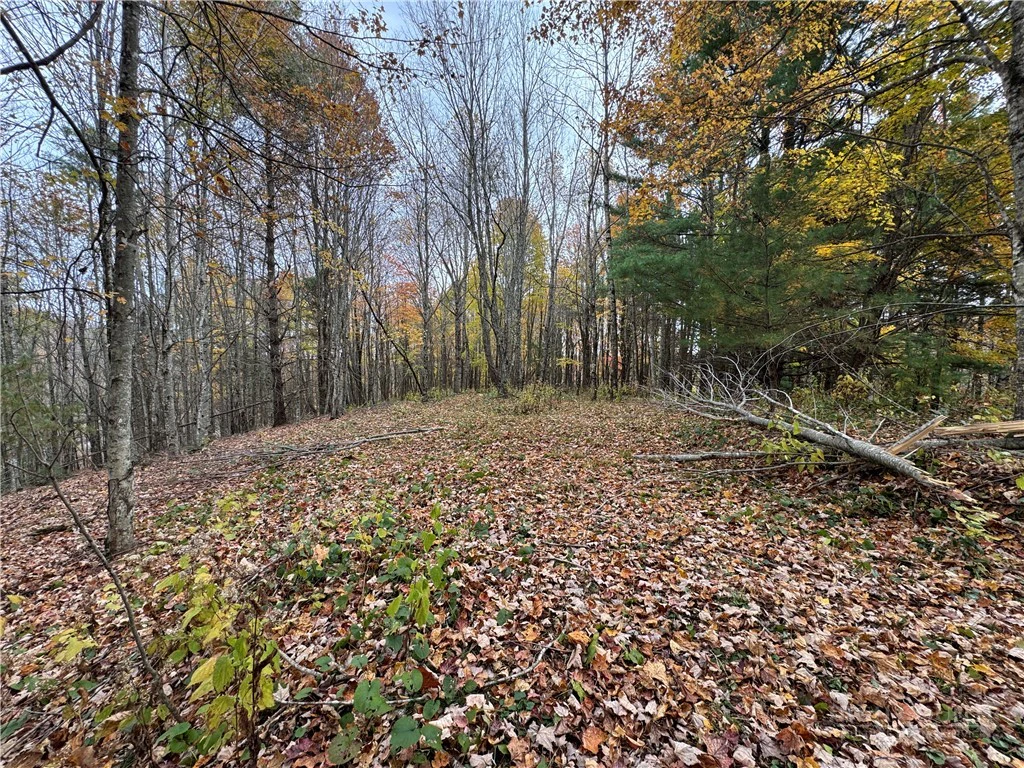 Image number 15 for the current listing