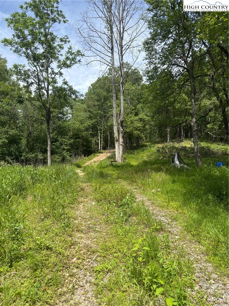 Image number 1 for the current listing