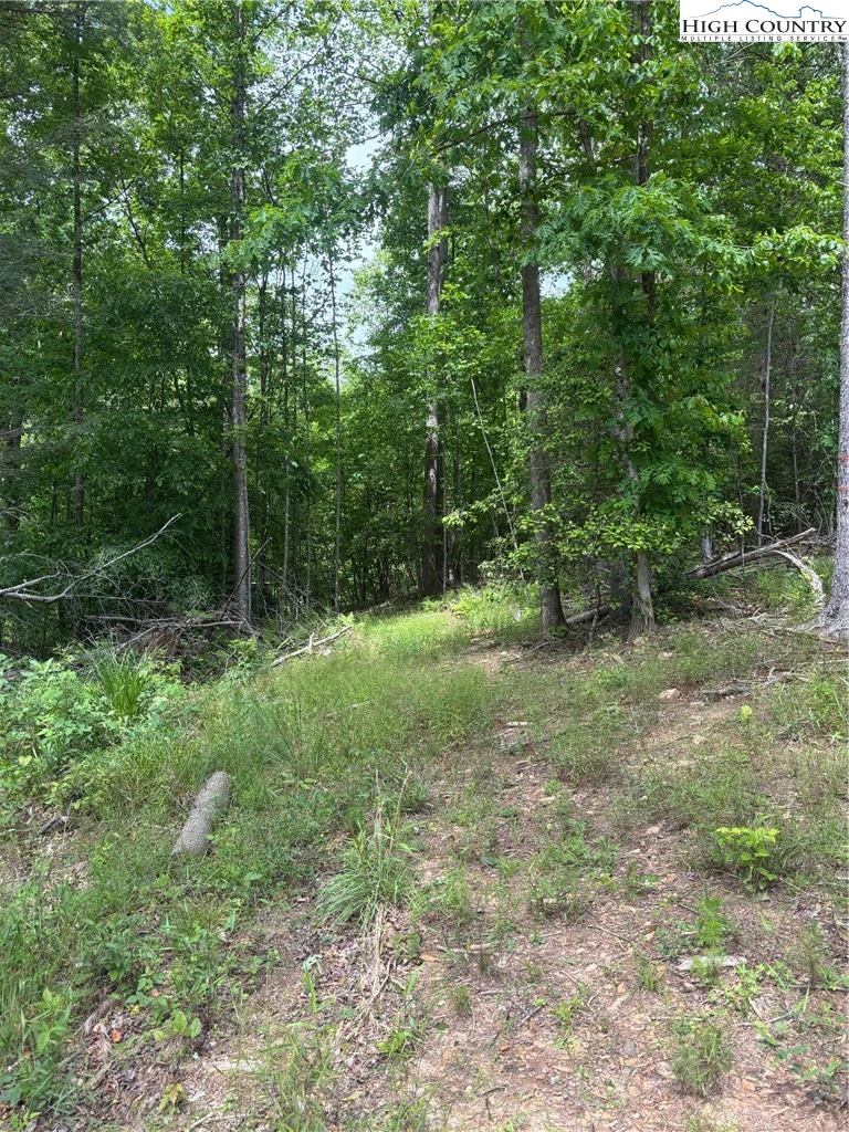 Image number 3 for the current listing