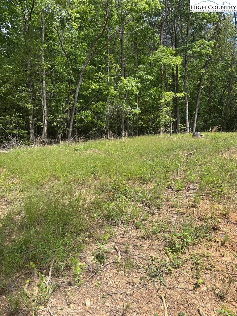 Image number 4 for the current listing
