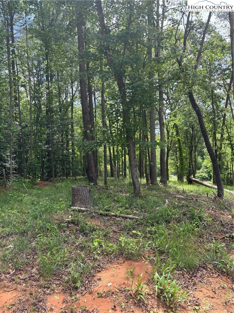 Image number 7 for the current listing