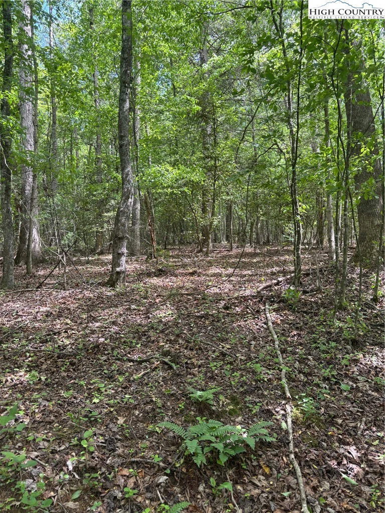 Image number 11 for the current listing