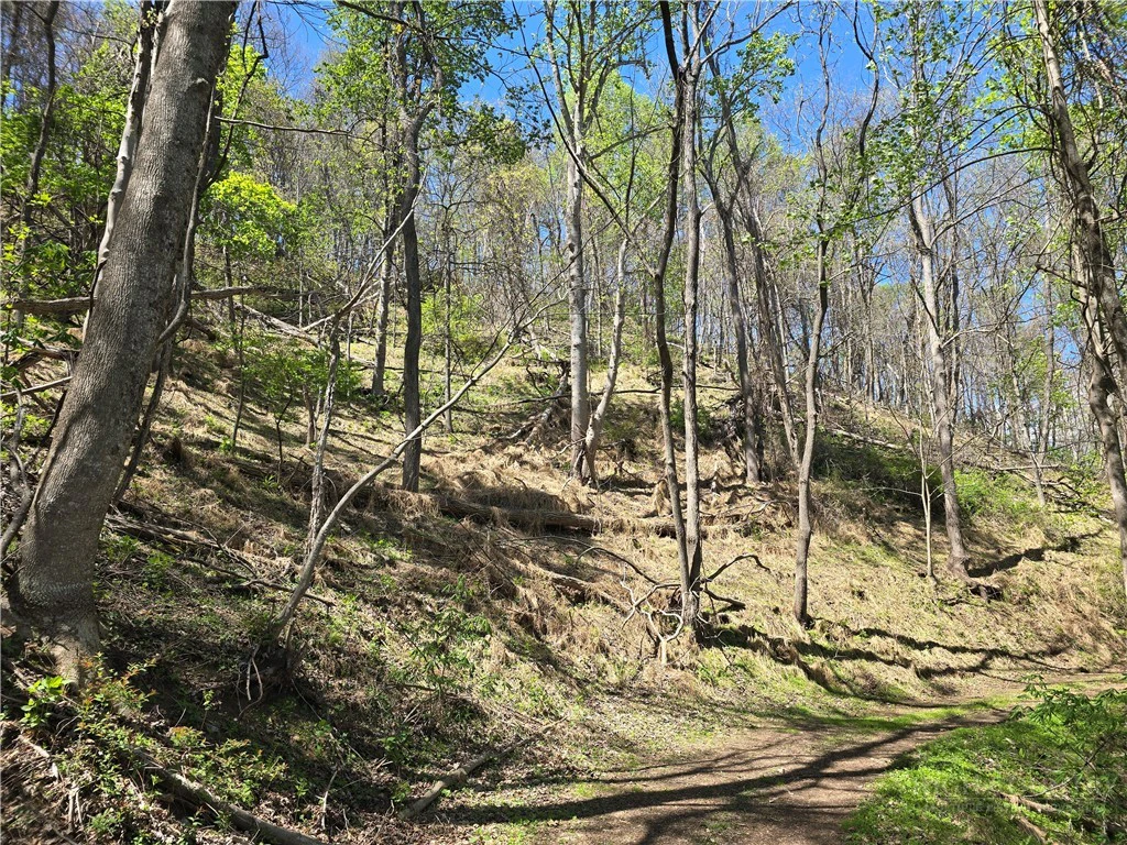 Image number 1 for the current listing