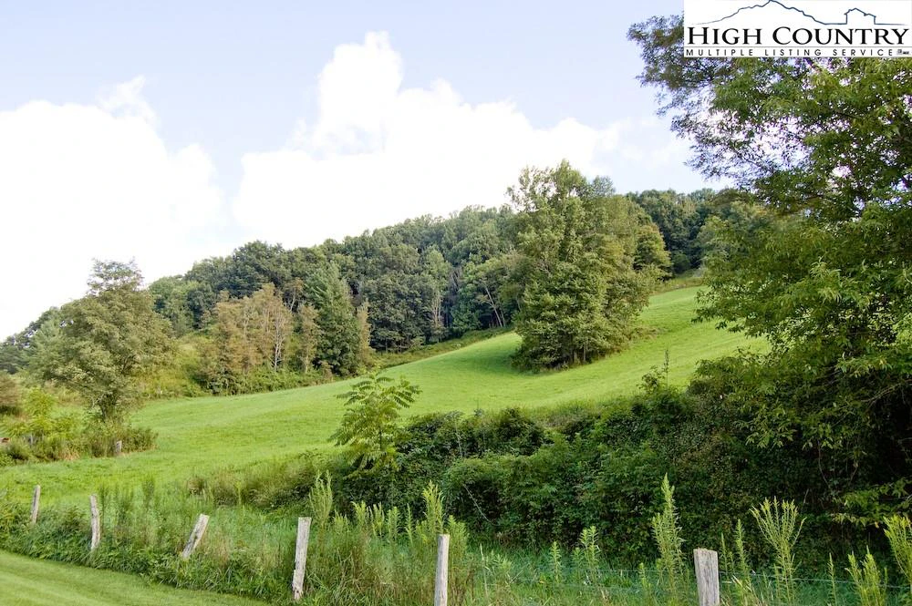 Image number 1 for the current listing