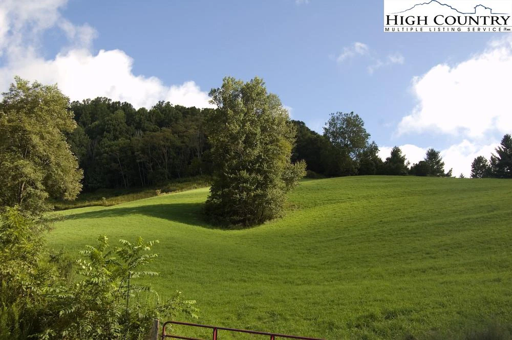 Image number 3 for the current listing