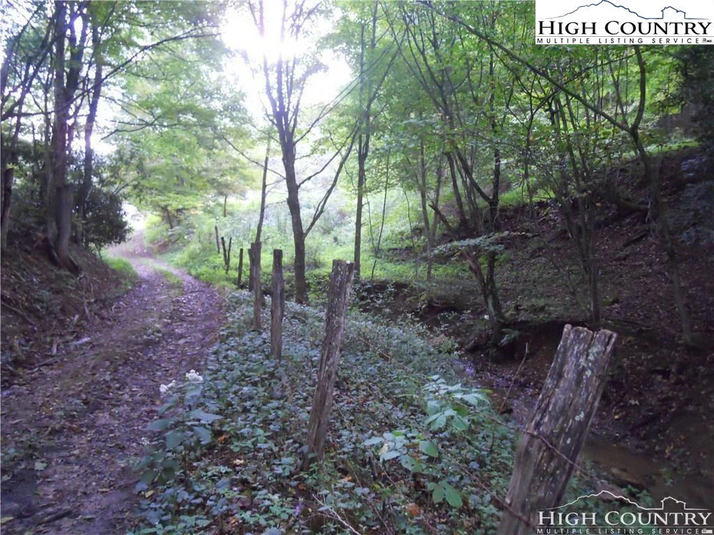 Image number 1 for the current listing