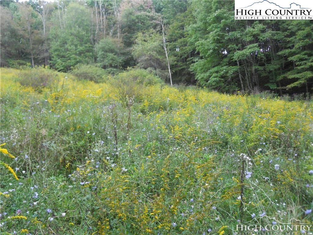 Image number 9 for the current listing