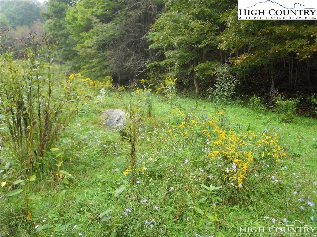 Image number 6 for the current listing