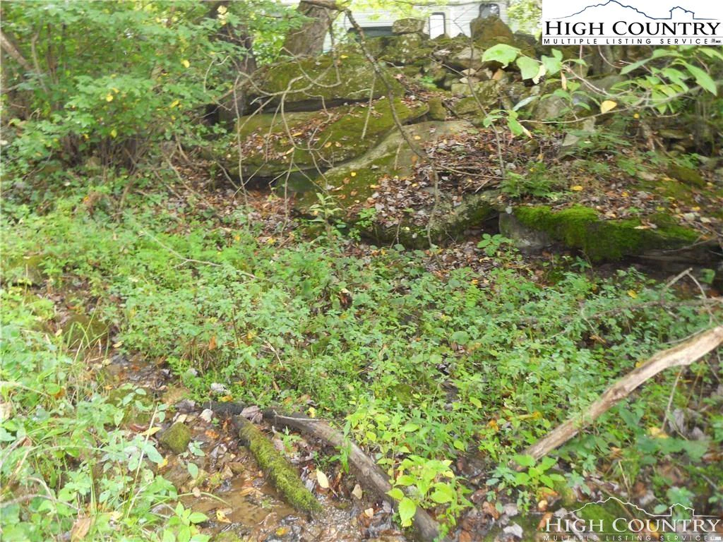 Image number 5 for the current listing