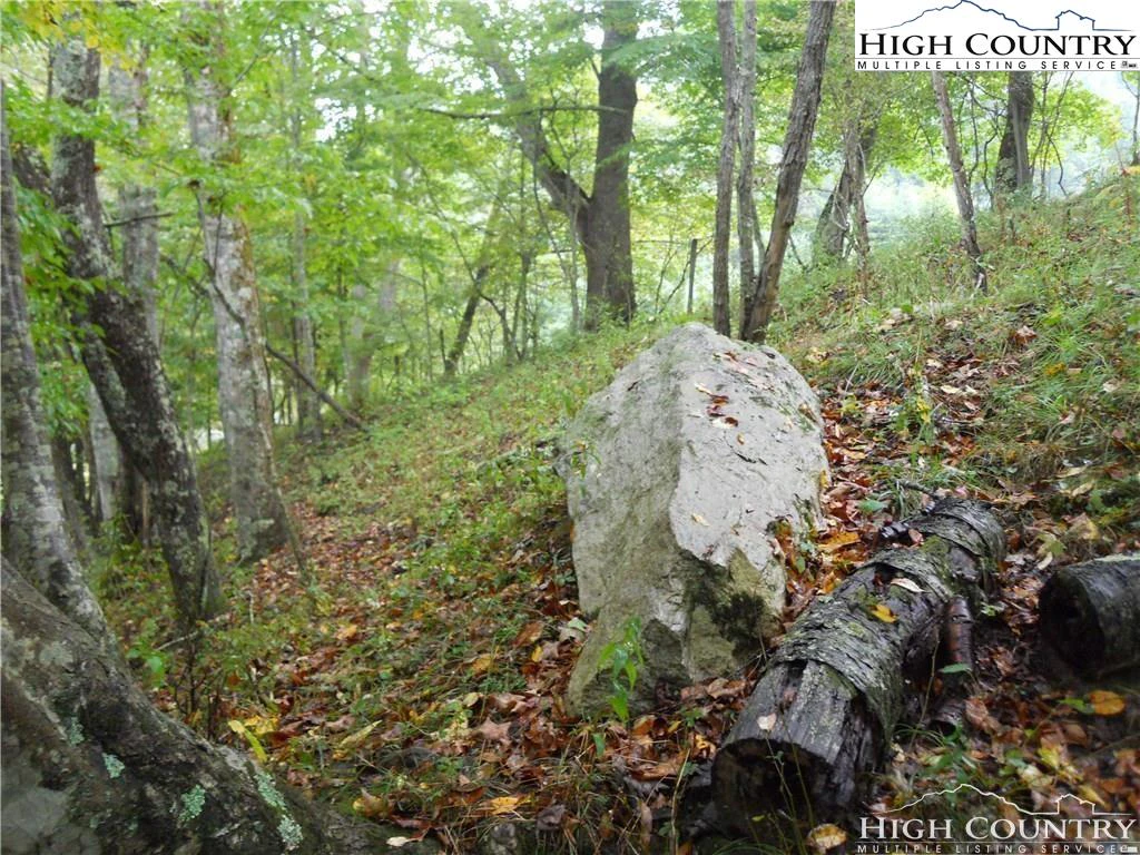 Image number 4 for the current listing