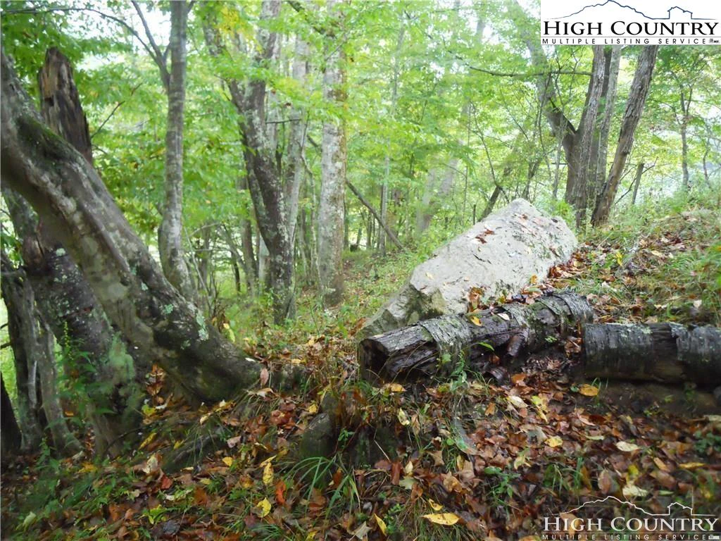 Image number 16 for the current listing