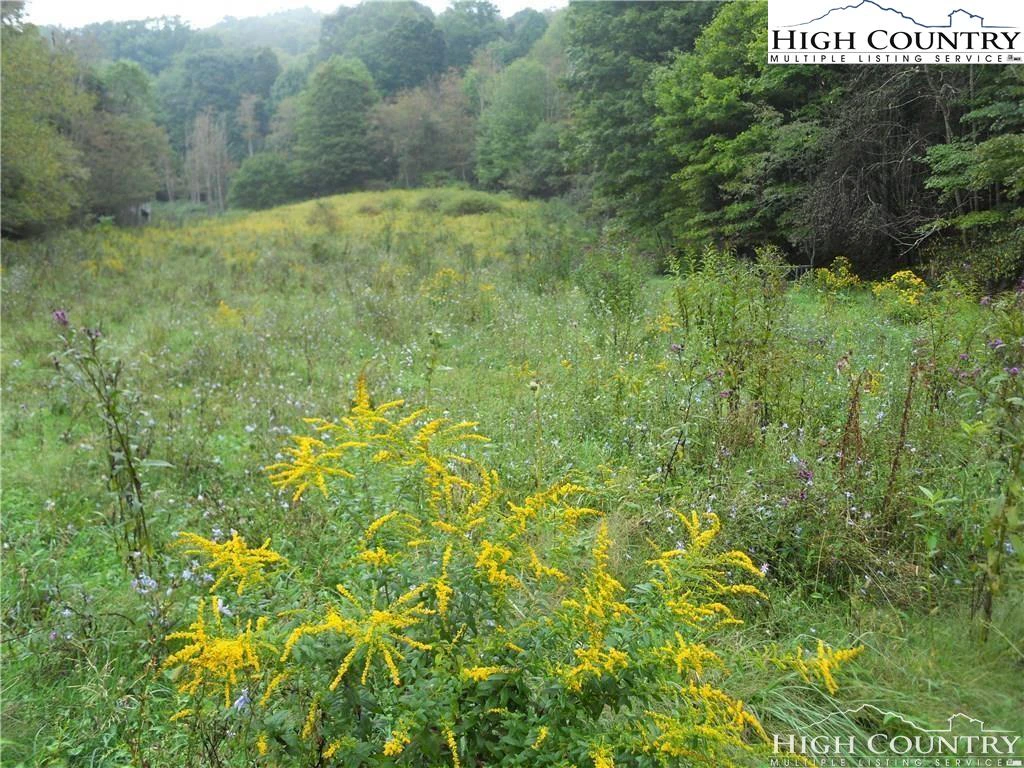 Image number 13 for the current listing