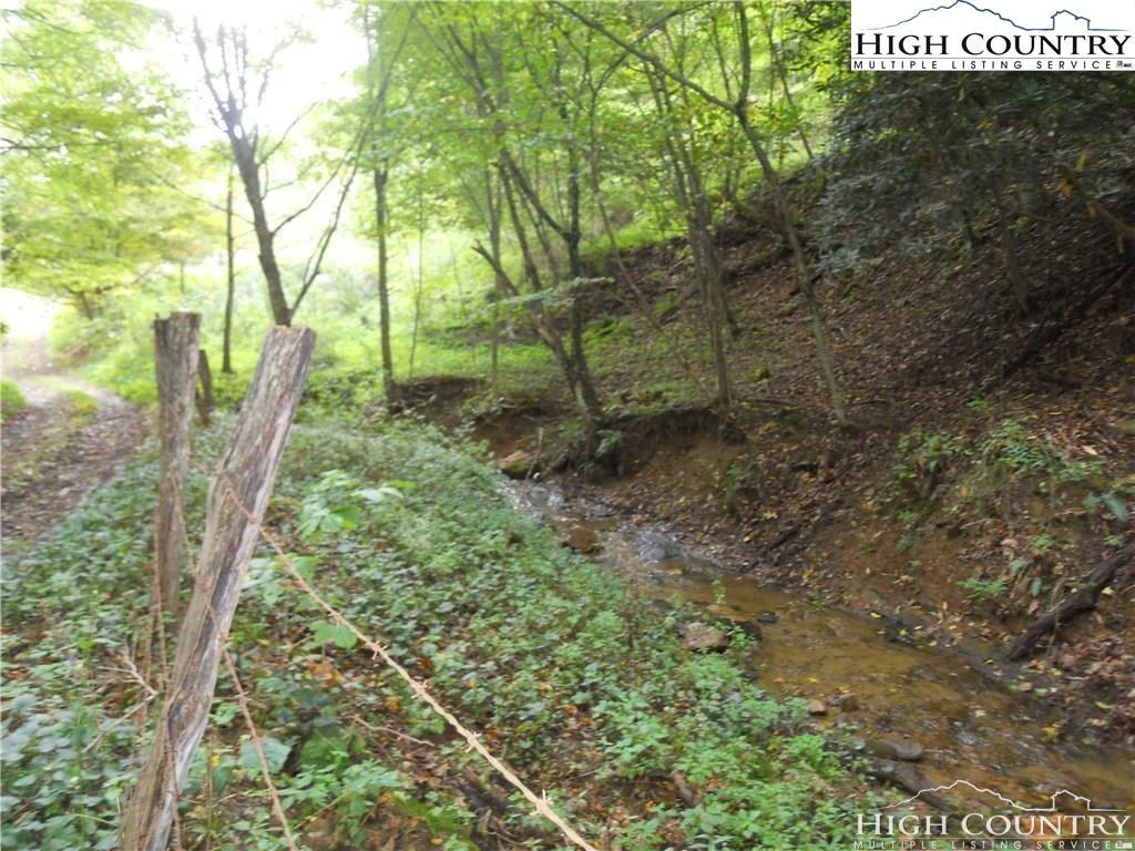 Image number 12 for the current listing