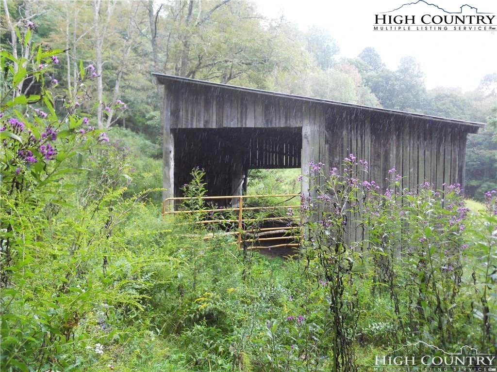 Image number 11 for the current listing