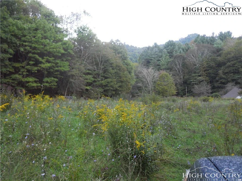 Image number 2 for the current listing