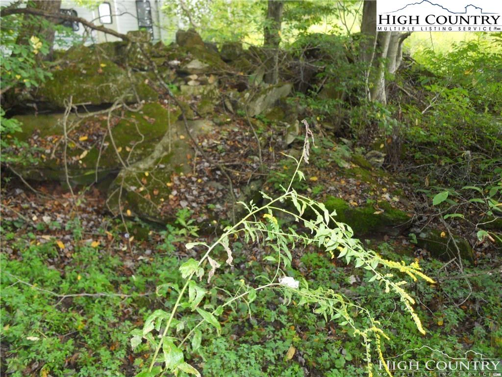 Image number 10 for the current listing