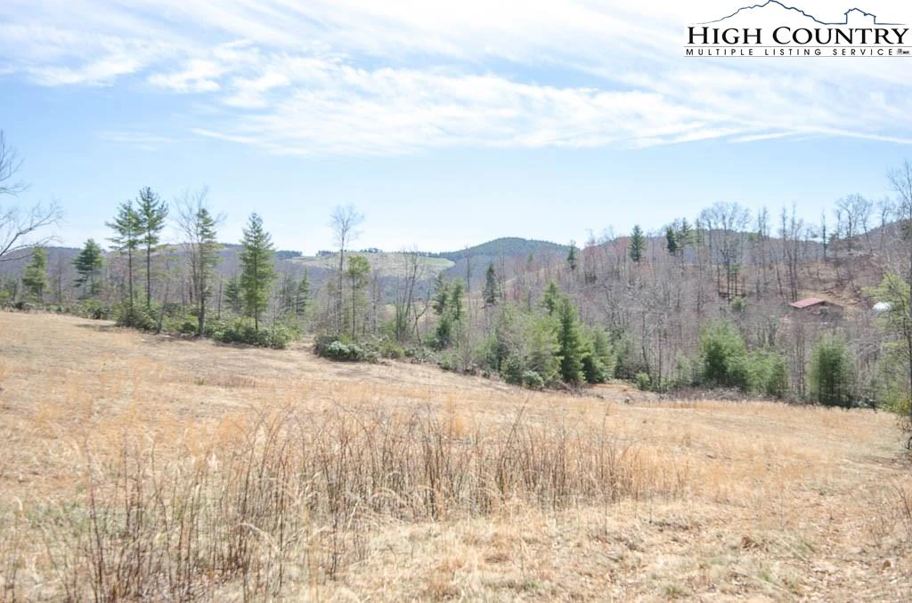 Image number 17 for the current listing