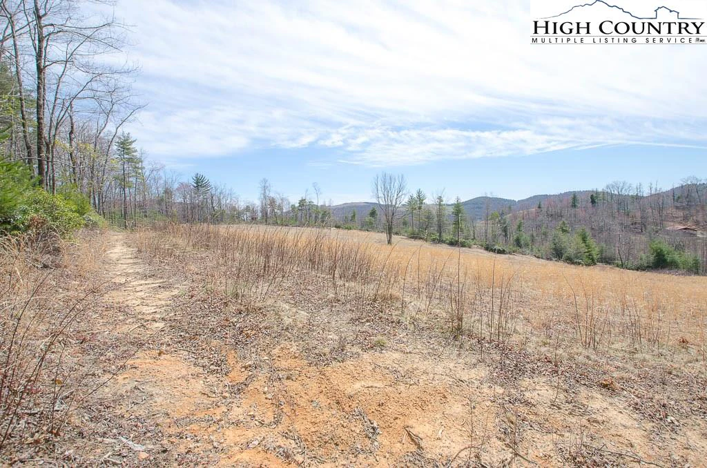Image number 16 for the current listing