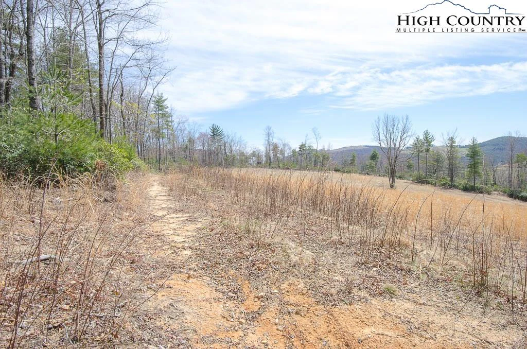 Image number 2 for the current listing