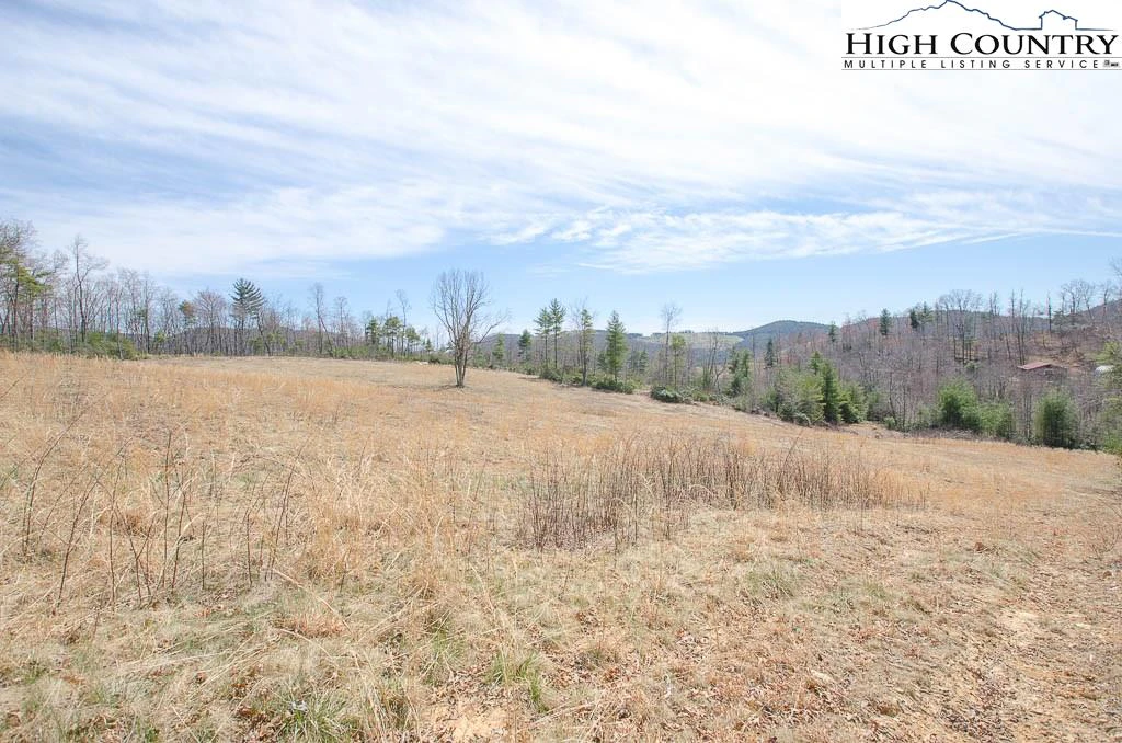 Image number 13 for the current listing