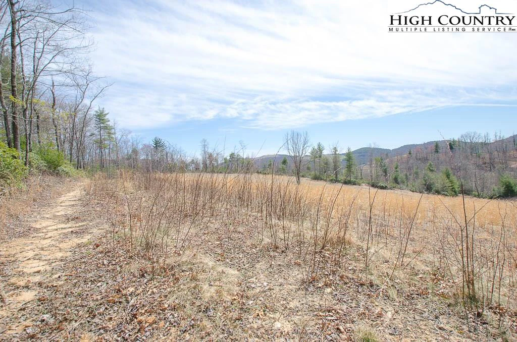 Image number 11 for the current listing