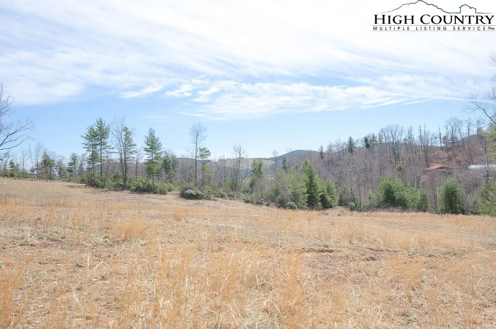 Image number 10 for the current listing