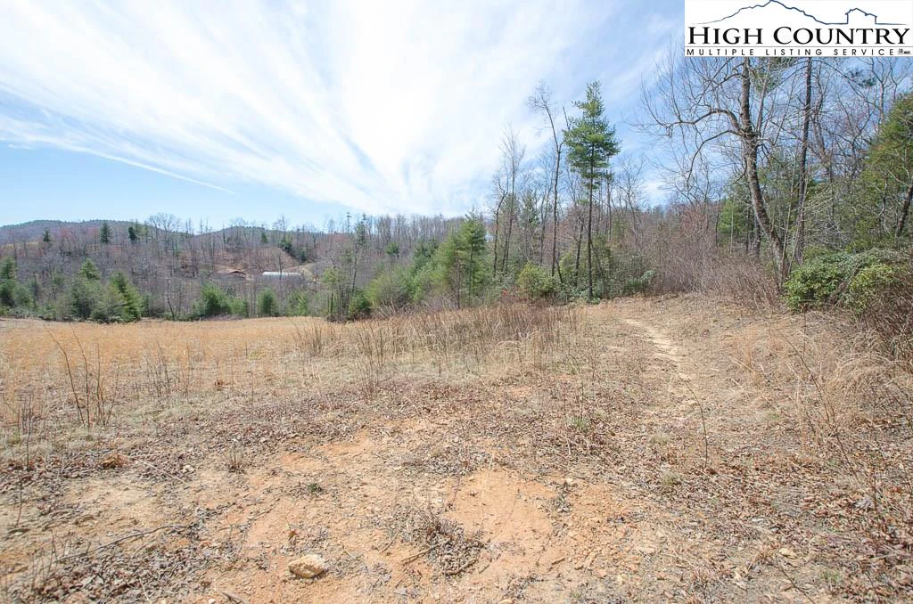 Image number 9 for the current listing