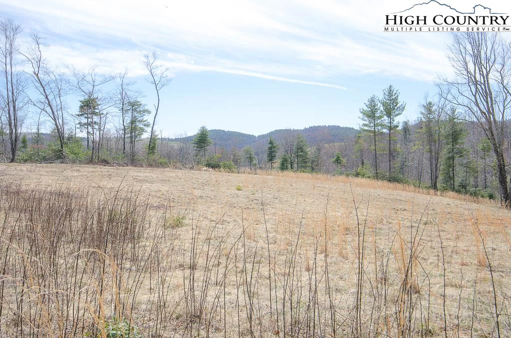 Image number 7 for the current listing