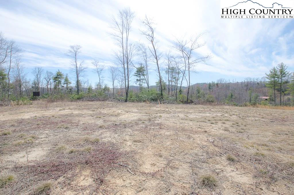Image number 6 for the current listing