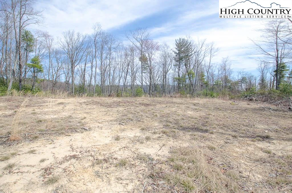 Image number 5 for the current listing