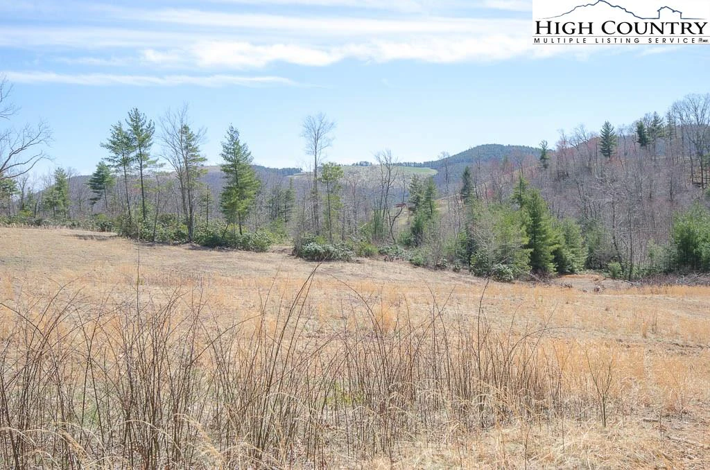 Image number 4 for the current listing