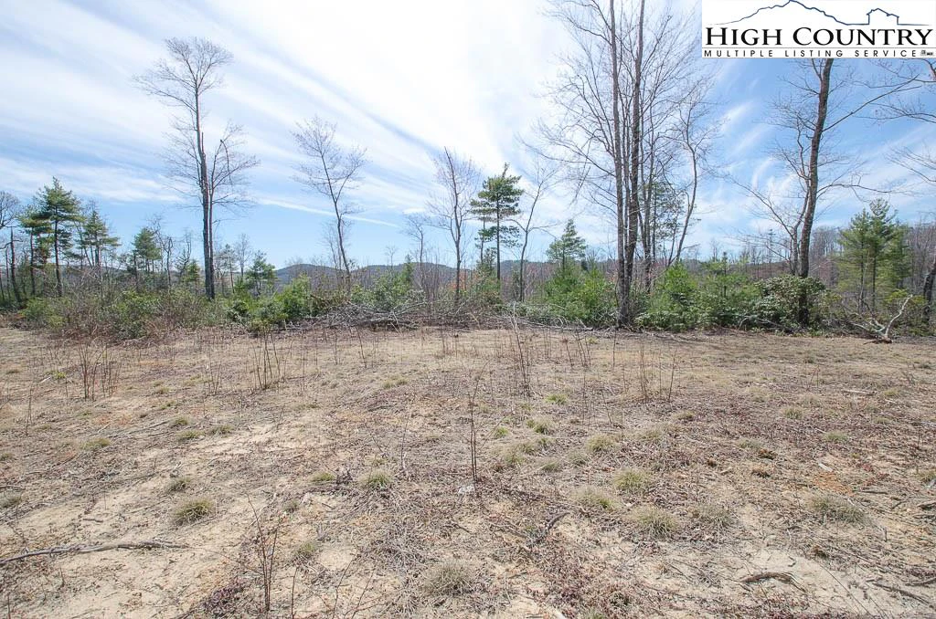 Image number 3 for the current listing