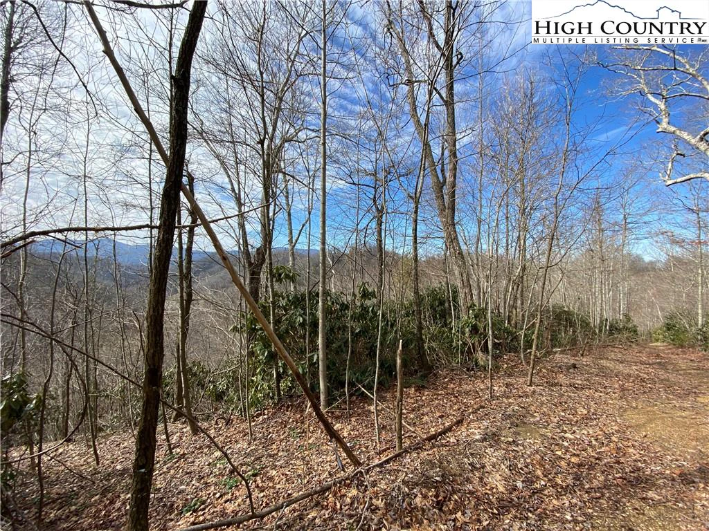 Image number 13 for the current listing