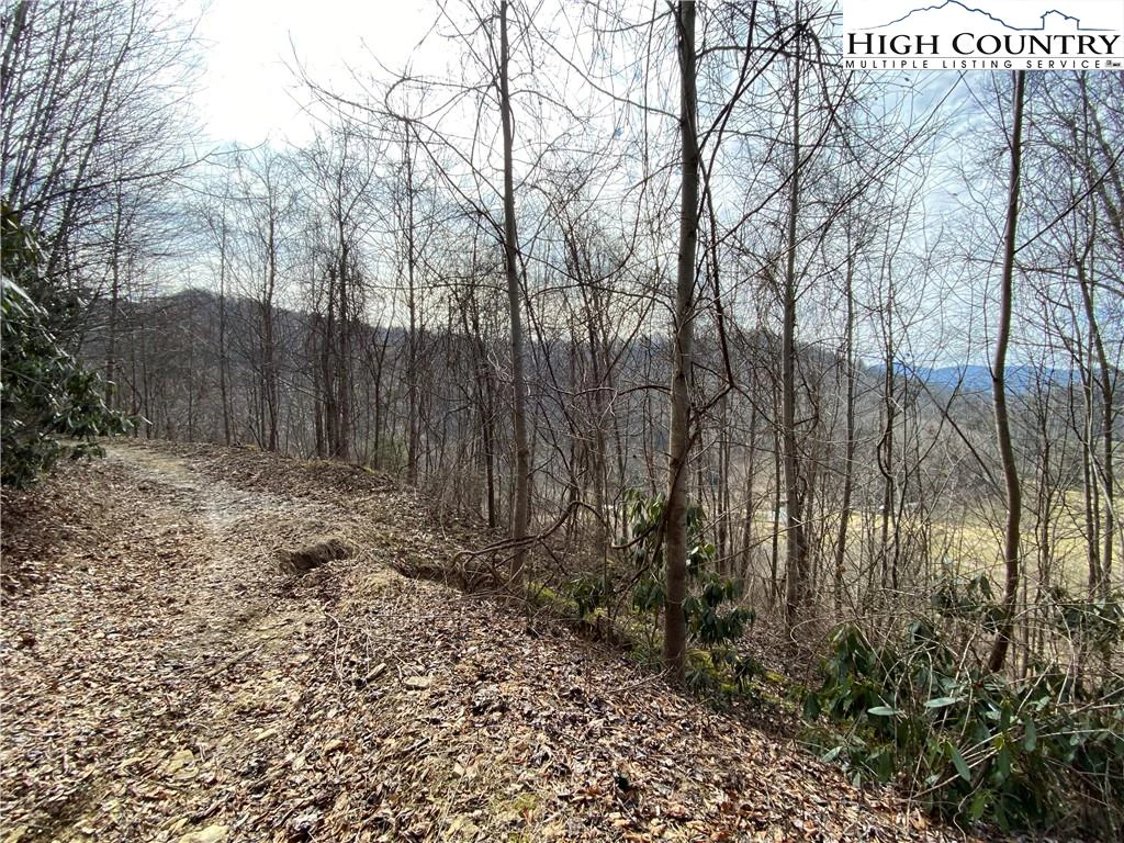Image number 3 for the current listing